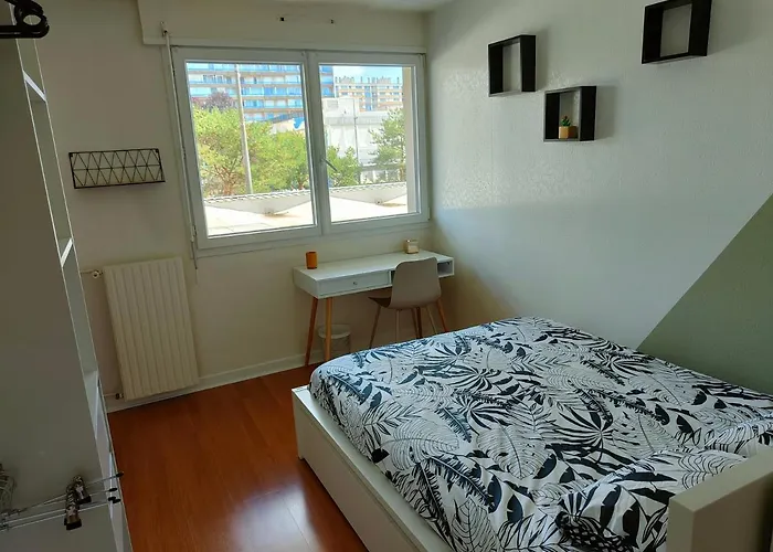 Grand Neuf Centre Appartement